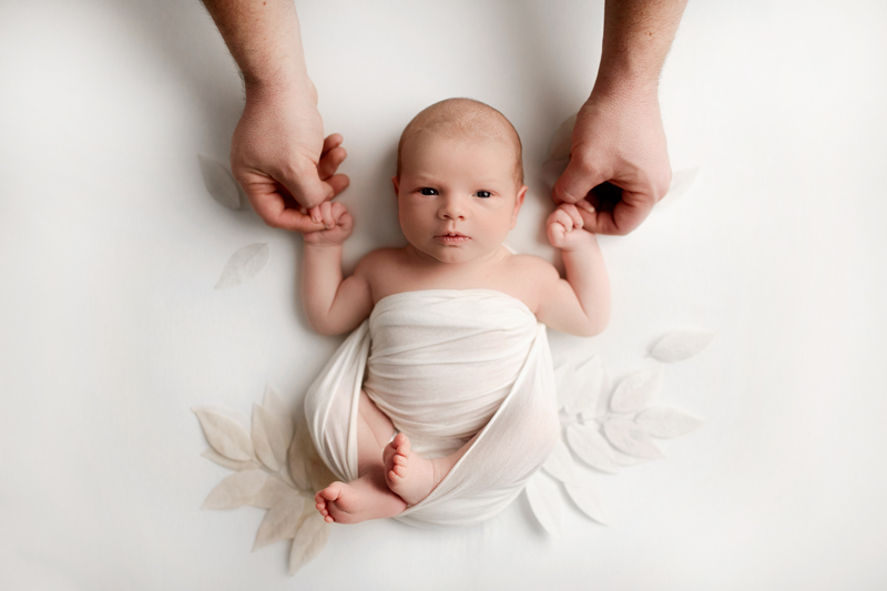 Baby Boy holding Parent's Hands on White Backdrop Wrapped in White Looking at the Camera